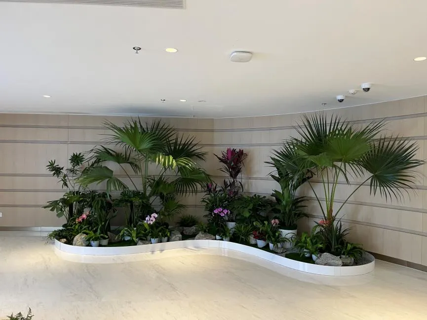 宁波花木出租哪家强？专业服务超棒